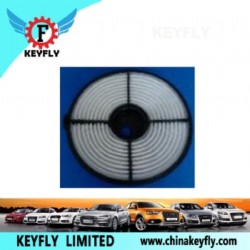 Auto Air Filter 17801-10030 14801-11100 for Toyota