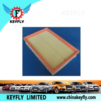Auto Air Filter 036 129 620D 036 198 620 for VW