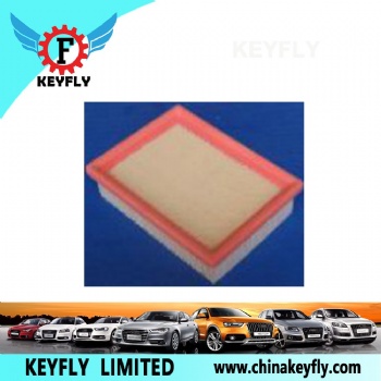 Auto Air Filter 030 129 620C 030 198 620 for VW