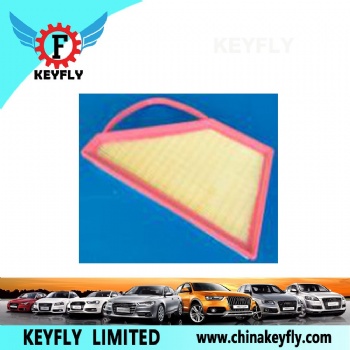 Auto Air Filter 3W0 129 620B for VW