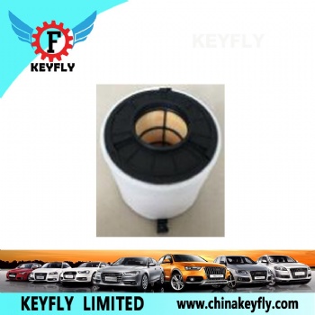 Auto Air Filter 8W0 133 843A for VW