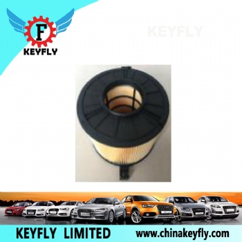 Auto Air Filter 8W0 133 843E for VW