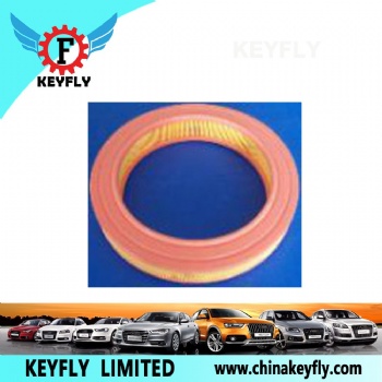 Auto Air Filter 834 257 834 287 for GM
