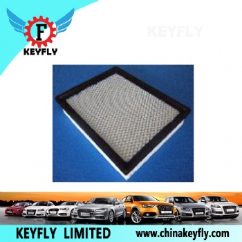 Auto Air Filter 25312133 25313348 for GM