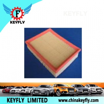 Auto Air Filter 834 316 834 323 for GM
