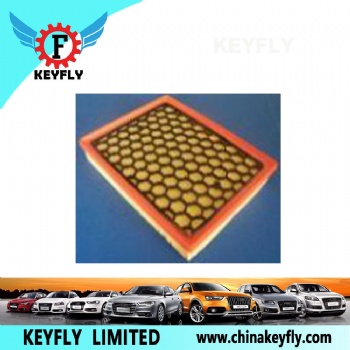 Auto Air Filter 93177663 73502069 for GM