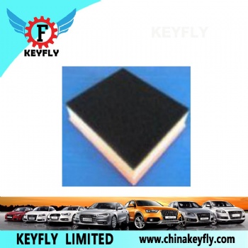 Auto Air Filter for VW