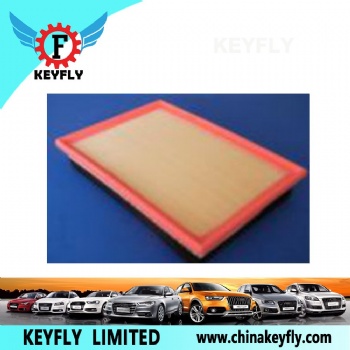 Auto Air Filter for Ford