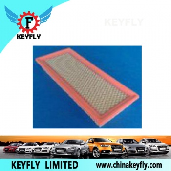 Auto Air Filter for Ford