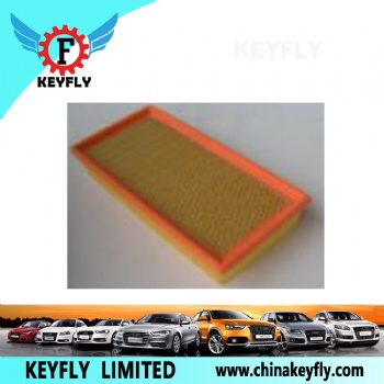 Auto Air Filter for Ford