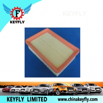 Auto Air Filter for Ford