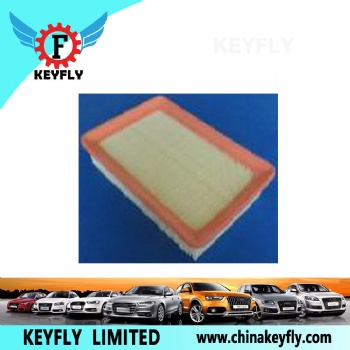 Auto Air Filter 60811900 60813798 for Ford