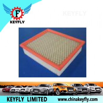 Auto Air Filter for Ford