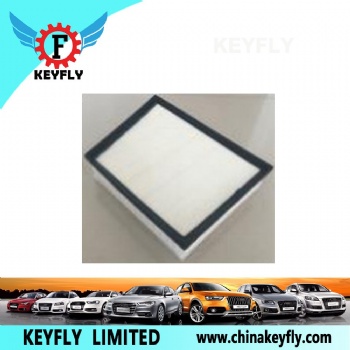 Auto Air Filter for Ford