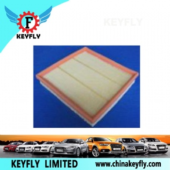 Auto Air Filter 919F9601AA 6194571 for Ford