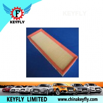 Auto Air Filter 6177208 5029754 for Ford