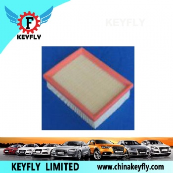 Auto Air Filter for Ford