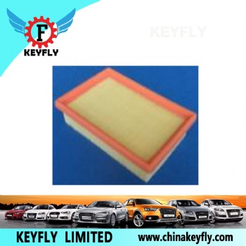 Auto Air Filter 94FF9601AA 6920749 for Ford