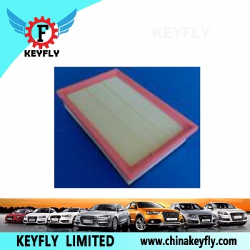 Auto Air Filter 6C169601AA for Ford