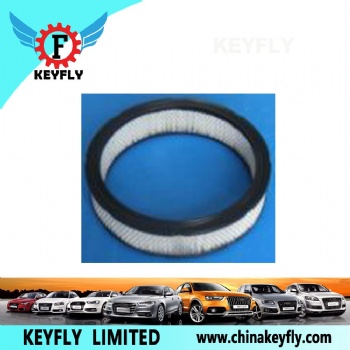 Auto Air Filter D0OF9600A D4TF9601FB for Ford