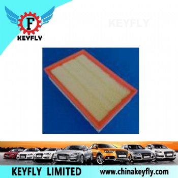 Auto Air Filter LR005816 6G929601AB for Ford