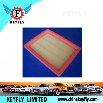 Auto Air Filter for Ford