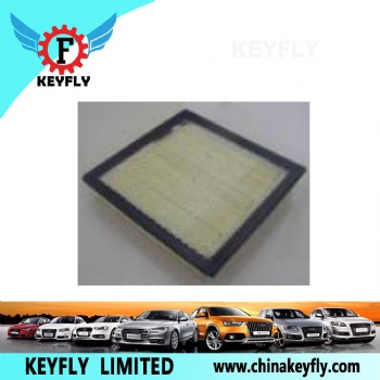 Auto Air Filter for Ford