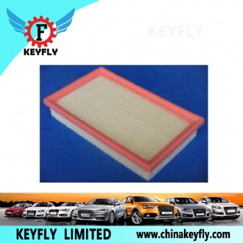 Auto Air Filter for Hyundai/Kia