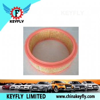 Auto Air Filter 25040881 for Hyundai/Kia