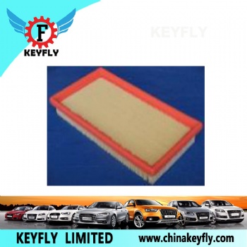 Auto Air Filter for Hyundai/Kia