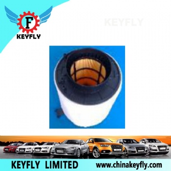 Auto Air Filter 8K0 133 843D for VW