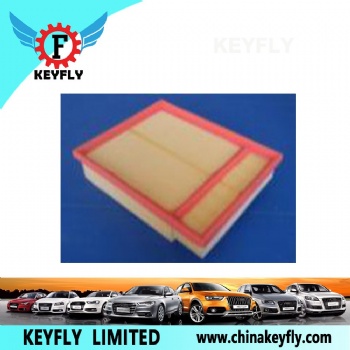 Auto Air Filter 079 133 843A CA10573 for VW