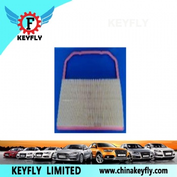 Auto Air Filter 04C 129 620C for VW