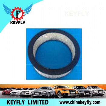 Auto Air Filter 8997890 8997328 for GM