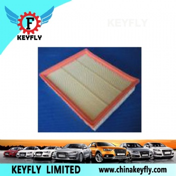 Auto Air Filter 5025060 13722242025 for Ford