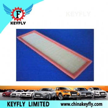 Auto Air Filter 2NVU9601BD for Ford