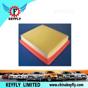 Auto Air Filter for Ford