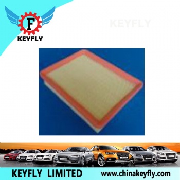 Auto Air Filter for Hyundai/Kia