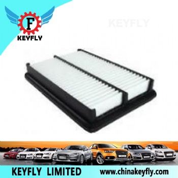 Auto Air Filter 28113-25500 for Hyundai/Kia