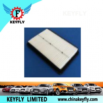 Auto Air Filter 28113-2W300 for Hyundai/Kia