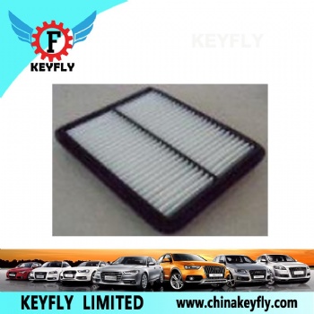 Auto Air Filter 96181263 for Hyundai/Kia