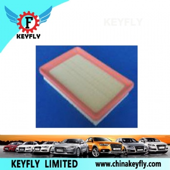 Auto Air Filter 28113-2D000 28113-2D001 for Hyundai/Kia