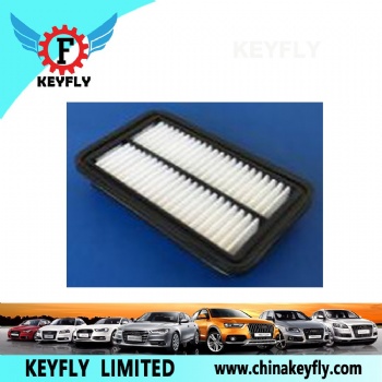 Auto Air Filter 28113-1Y100 28113-04000 for Hyundai/Kia