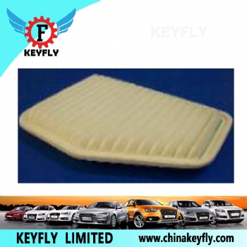 Auto Air Filter 92066873 for Hyundai/Kia