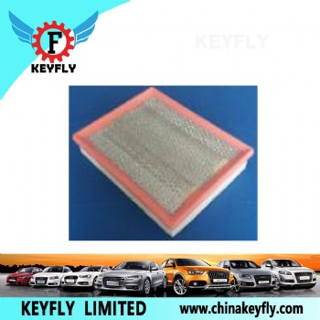 Auto Air Filter for Hyundai/Kia