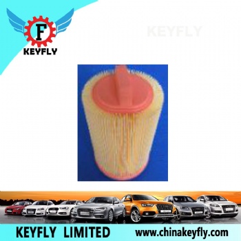 Auto Air Filter 271 094 0204 for Mercedes-Benz