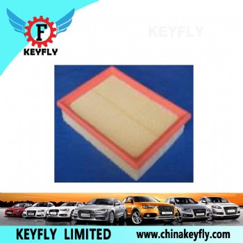 Auto Air Filter 13721730946 13721738462 for BMW