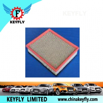Auto Air Filter for BMW