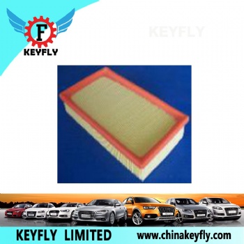 Auto Air Filter 13711247465 13721247842 for BMW