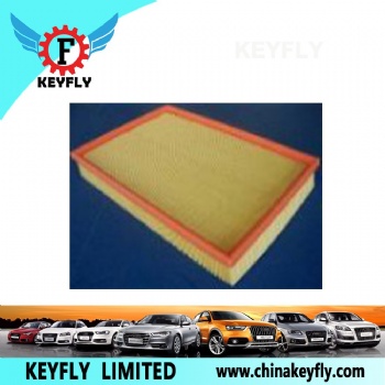 Auto Air Filter 13711287480 13711287481 for BMW